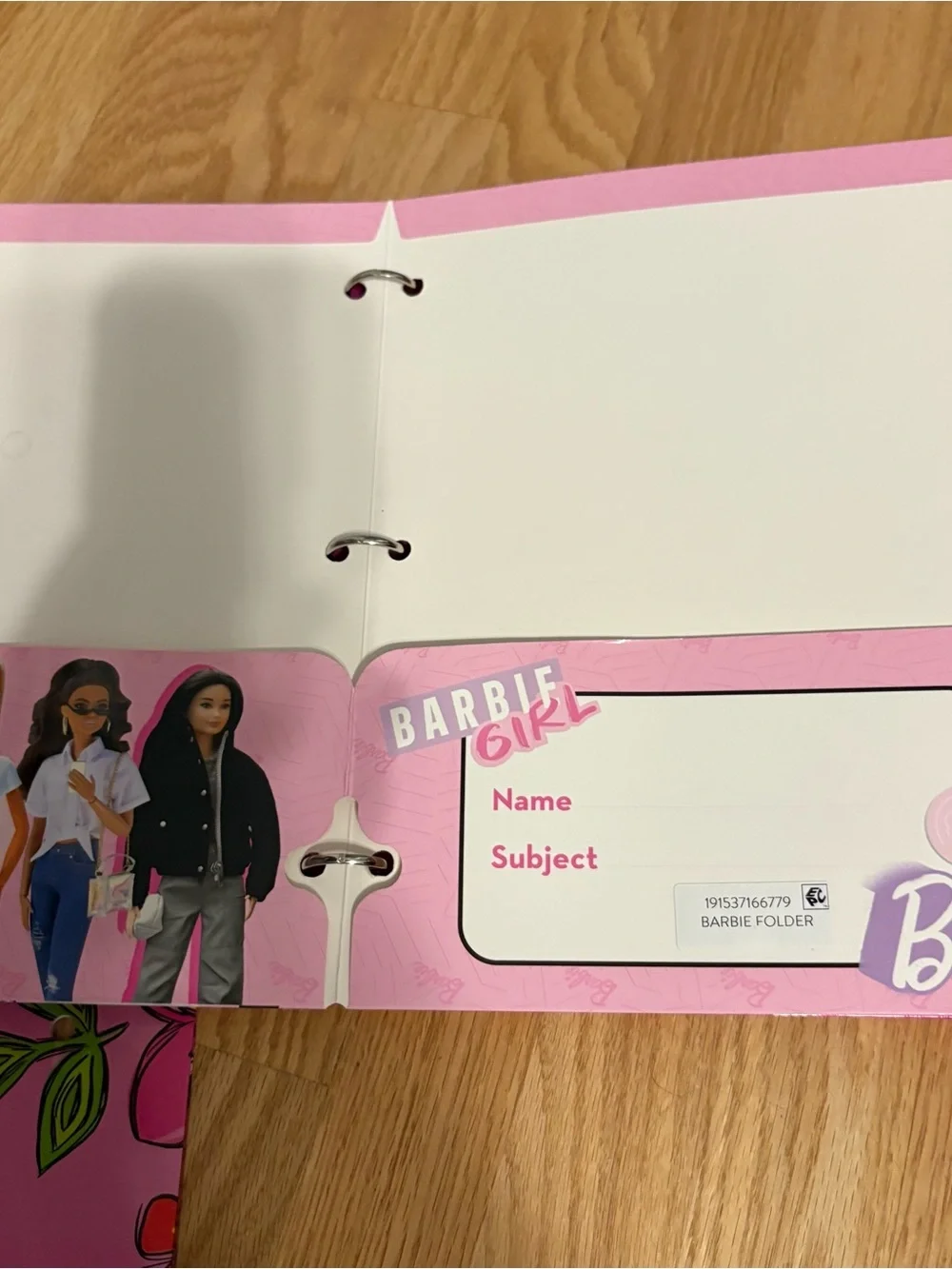 Disney Adventure Gals Folder Pink 3 Ring Binder Barbie Folder Bundle NEW